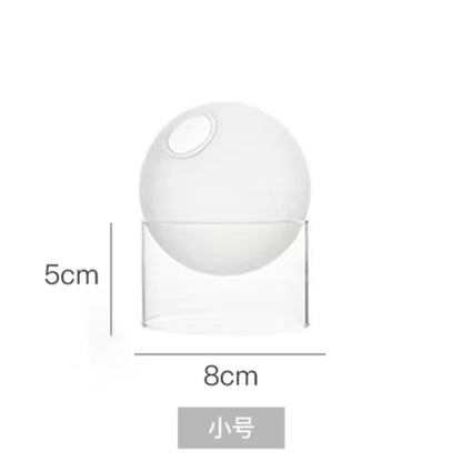 Mini round Flower Vase Hydroponic Container Micro Landscape Glass Ecological Bottle Borosilicate Glass Bottle with Home Decorate